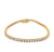 Diamond 14 Karat Yellow Gold Tennis Bracelet