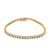 Diamond 14 Karat Yellow Gold Tennis Bracelet