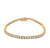 Diamond 14 Karat Yellow Gold Tennis Bracelet