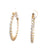 Diamond 14 Karat Yellow Gold Hoop Earrings